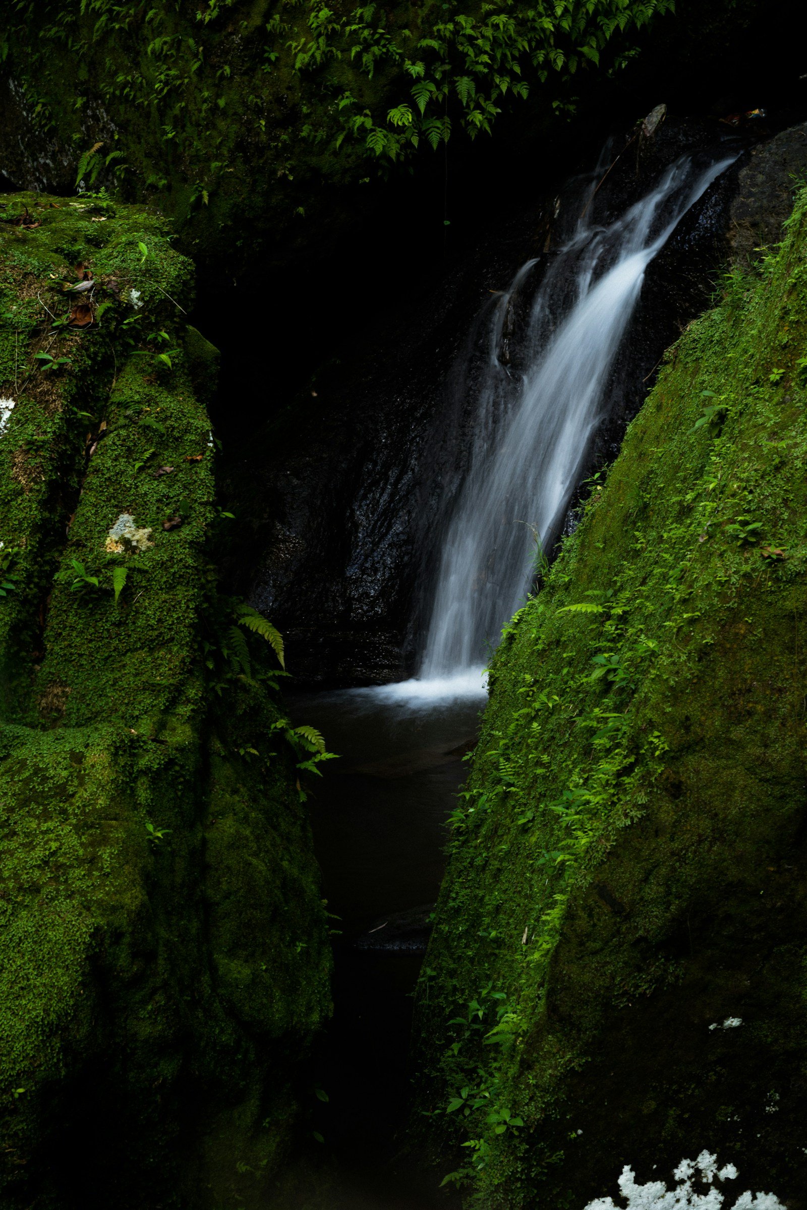 Waterfall cascading down lush forest cliffs in Bali