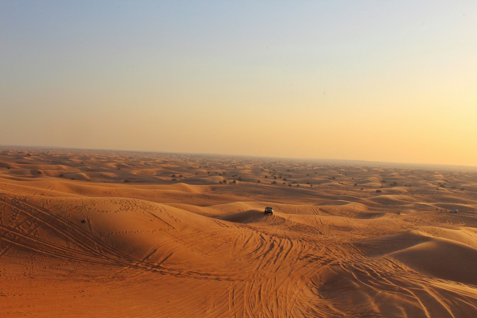Golden Dubai desert dunes and winding vehicle tracks